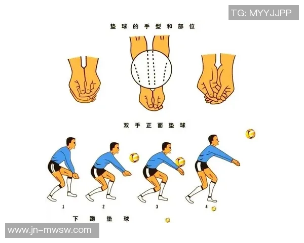 排球新手必看：快速掌握技巧与战术的全面入门指南